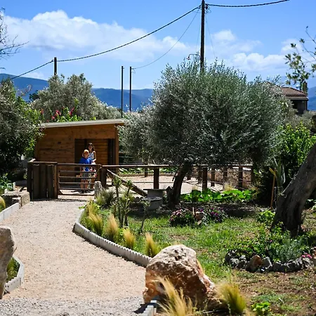 Ninemia Homes 2 *